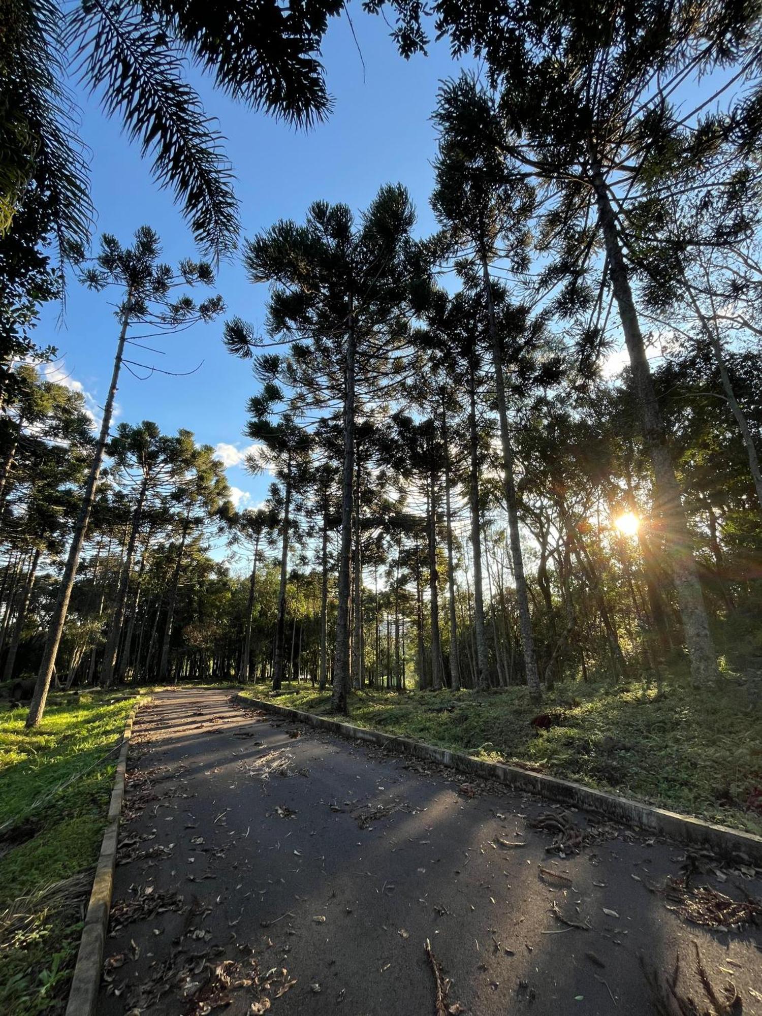 Ville Del Bosco Hotel Sao Marcos Екстер'єр фото